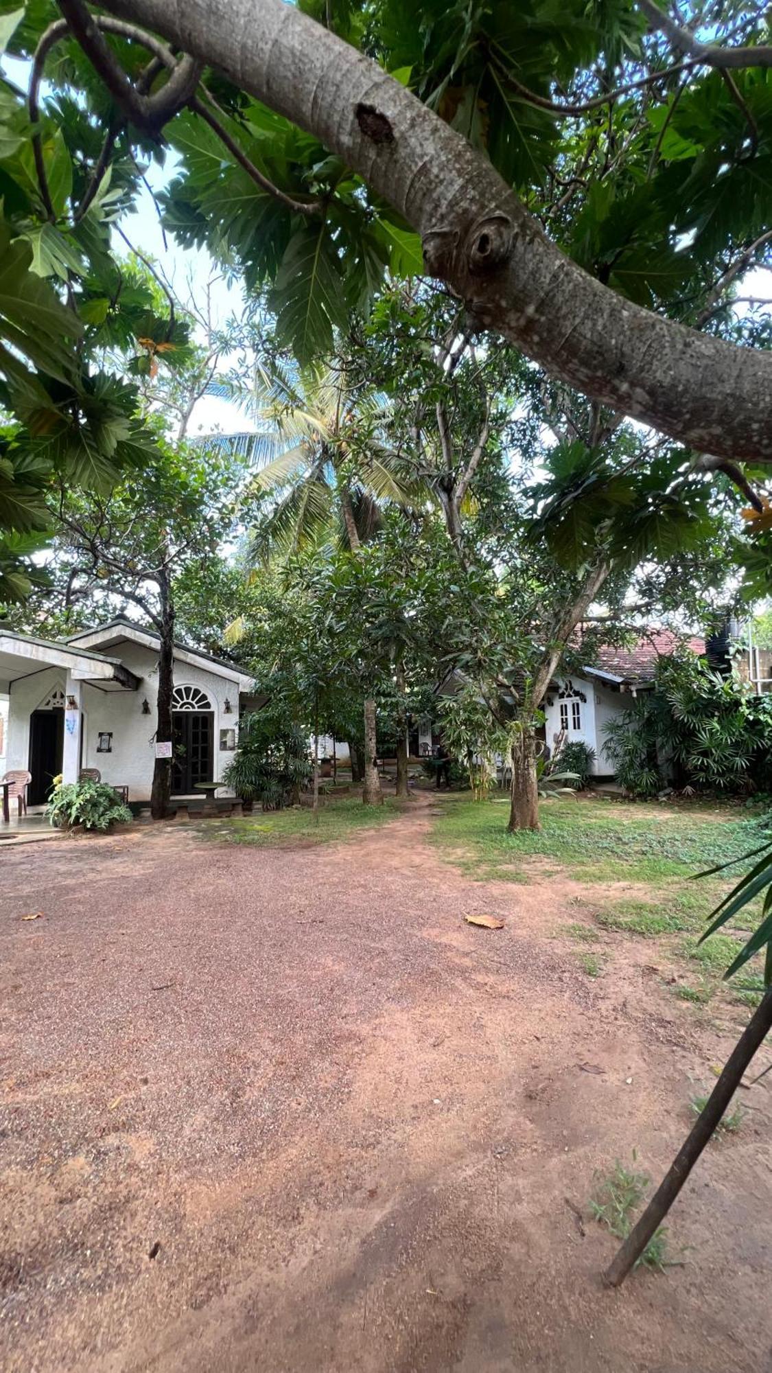 Sylvester Villa Hostel Negombo Buitenkant foto
