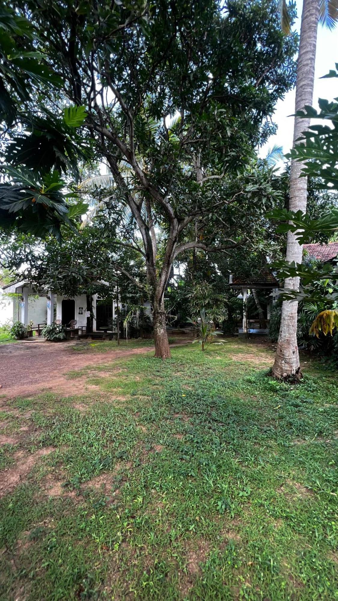 Sylvester Villa Hostel Negombo Buitenkant foto